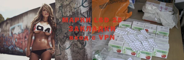 тгк Новозыбков