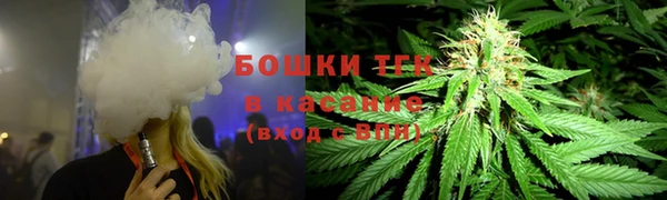 тгк Новозыбков