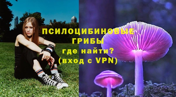 тгк Новозыбков