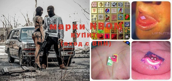 МДПВ Нея