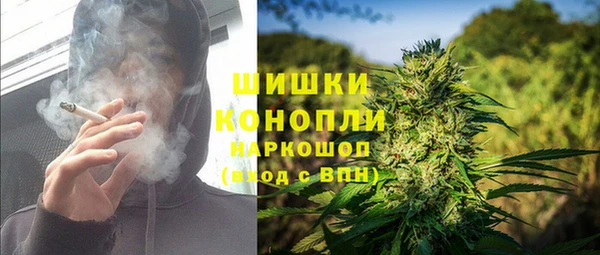 МДПВ Нея