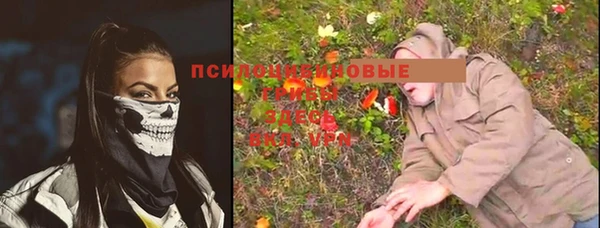 экстази Новодвинск