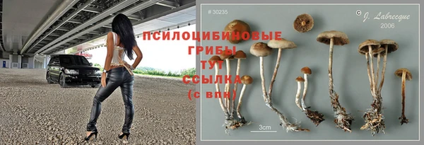 тгк Новозыбков
