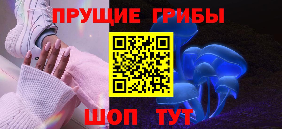 Псилоцибиновые грибы GOLDEN TEACHER Семилуки